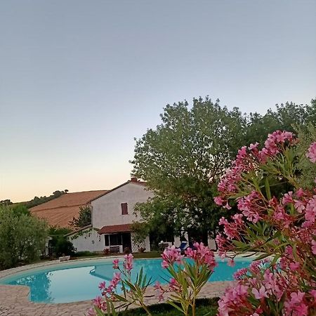 Agriturismo La Locandiera มอนเตเมราโน ภายนอก รูปภาพ
