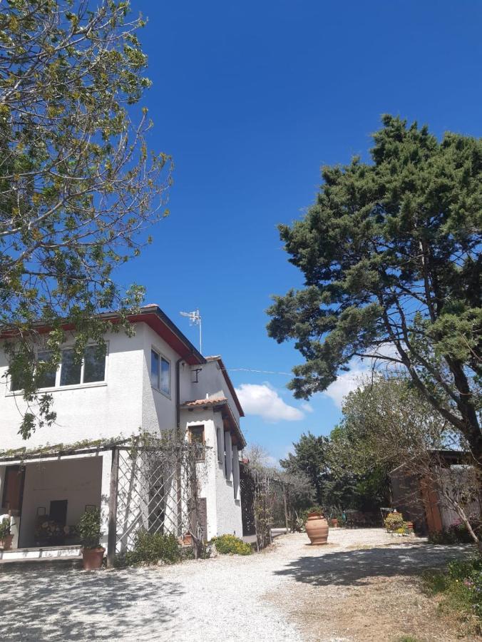 Agriturismo La Locandiera มอนเตเมราโน ภายนอก รูปภาพ