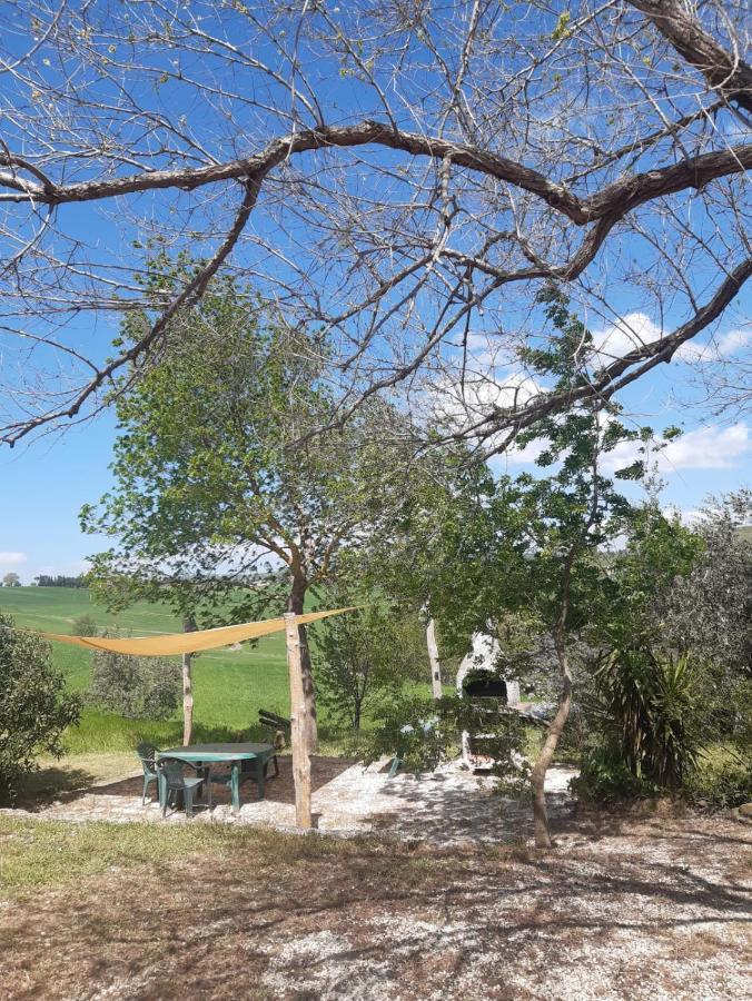 Agriturismo La Locandiera มอนเตเมราโน ภายนอก รูปภาพ
