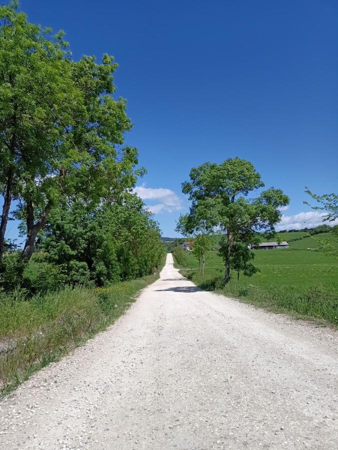 Agriturismo La Locandiera มอนเตเมราโน ภายนอก รูปภาพ