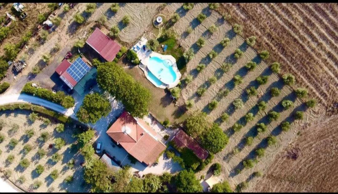 Agriturismo La Locandiera มอนเตเมราโน ภายนอก รูปภาพ