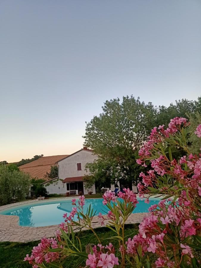 Agriturismo La Locandiera มอนเตเมราโน ภายนอก รูปภาพ