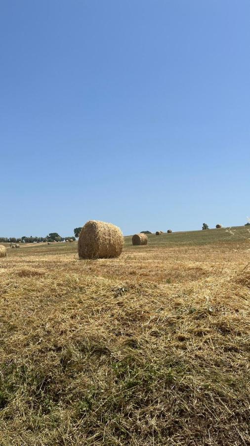 Agriturismo La Locandiera มอนเตเมราโน ภายนอก รูปภาพ
