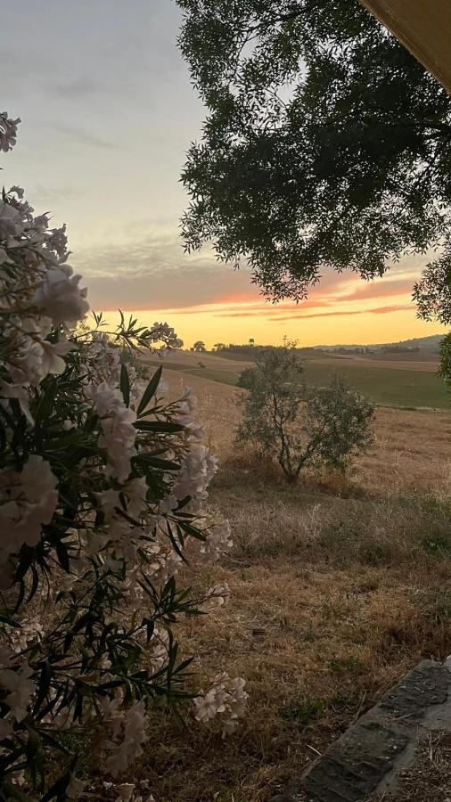 Agriturismo La Locandiera มอนเตเมราโน ภายนอก รูปภาพ