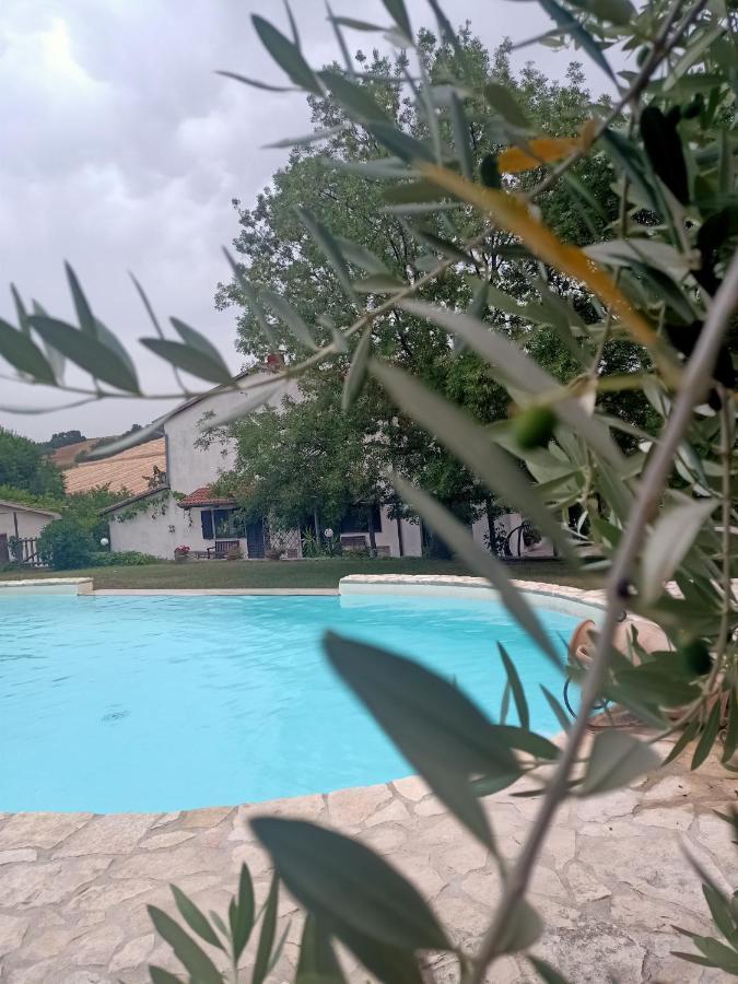 Agriturismo La Locandiera มอนเตเมราโน ภายนอก รูปภาพ