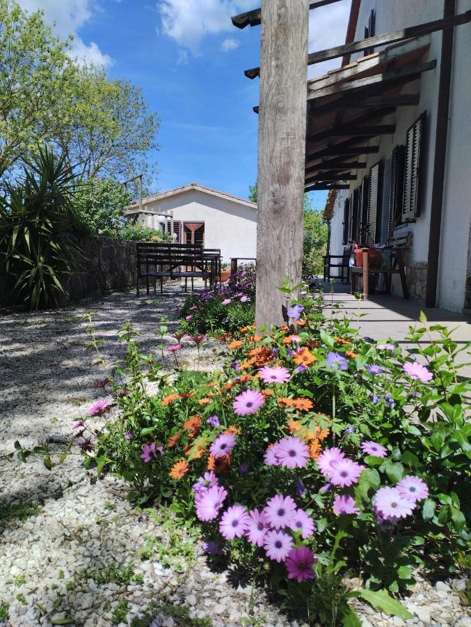 Agriturismo La Locandiera มอนเตเมราโน ภายนอก รูปภาพ