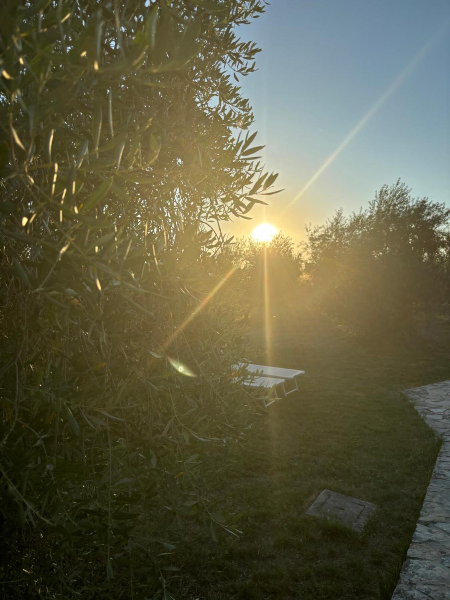 Agriturismo La Locandiera มอนเตเมราโน ภายนอก รูปภาพ